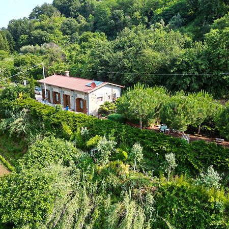 הוילה Grotte di Castro Agriturismo Le Fontane - Lago Di Bolsena מראה חיצוני תמונה