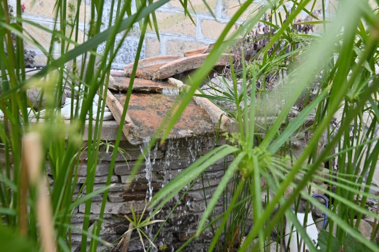 Grotte di Castro Agriturismo Le Fontane - Lago Di Bolsena מראה חיצוני תמונה