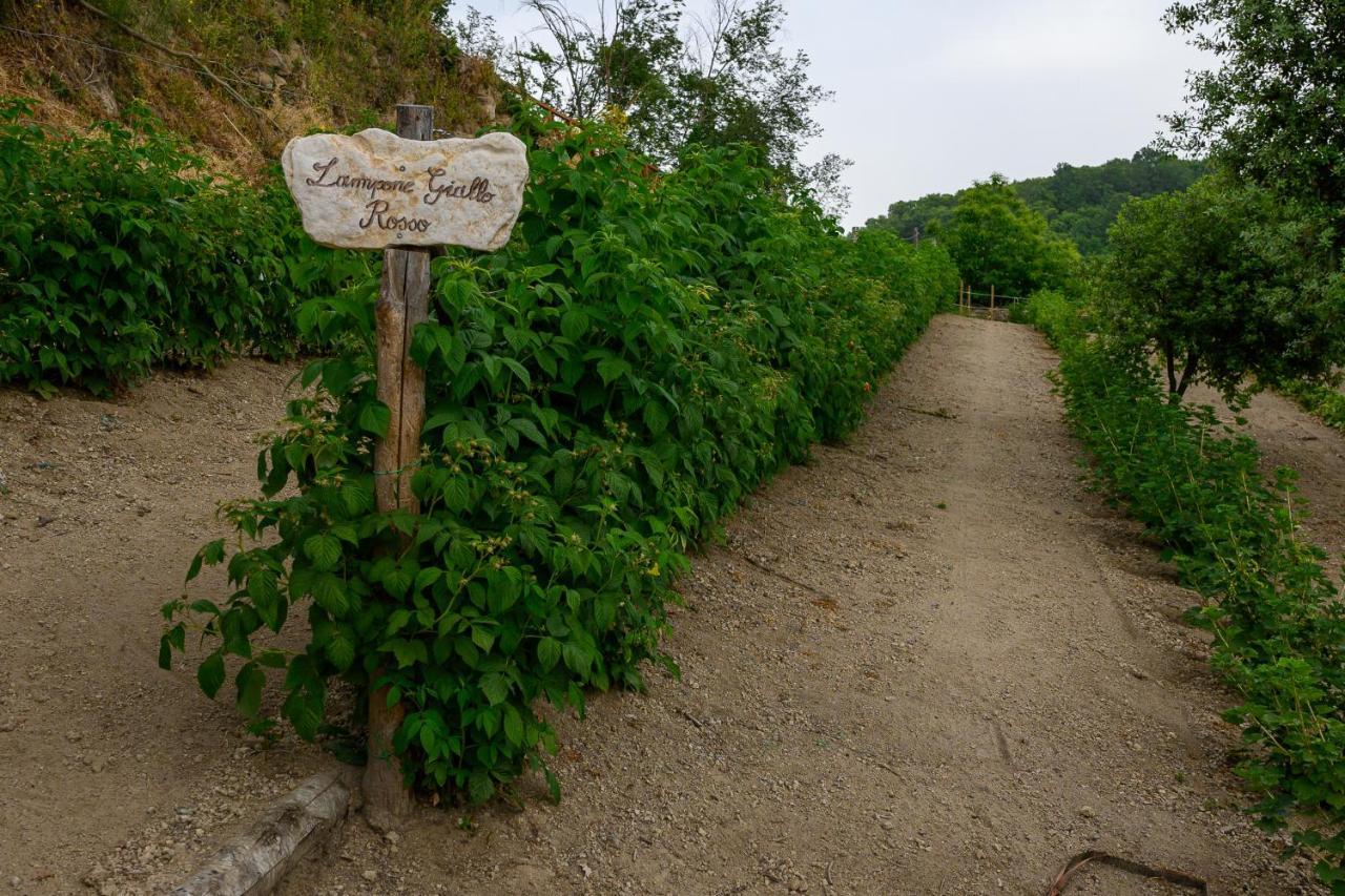 Grotte di Castro Agriturismo Le Fontane - Lago Di Bolsena מראה חיצוני תמונה