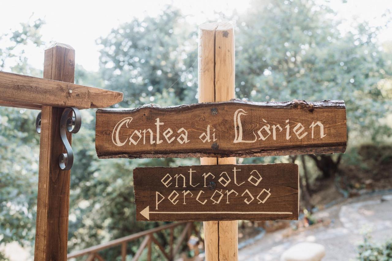 Grotte di Castro Agriturismo Le Fontane - Lago Di Bolsena מראה חיצוני תמונה